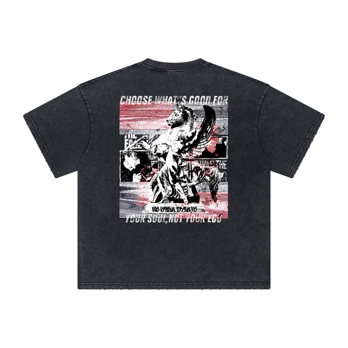 Siggnia Equinox Distressed Graphic Oversized Tee